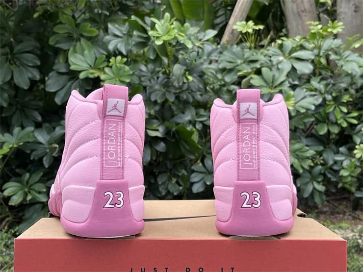 Air Jordan 12