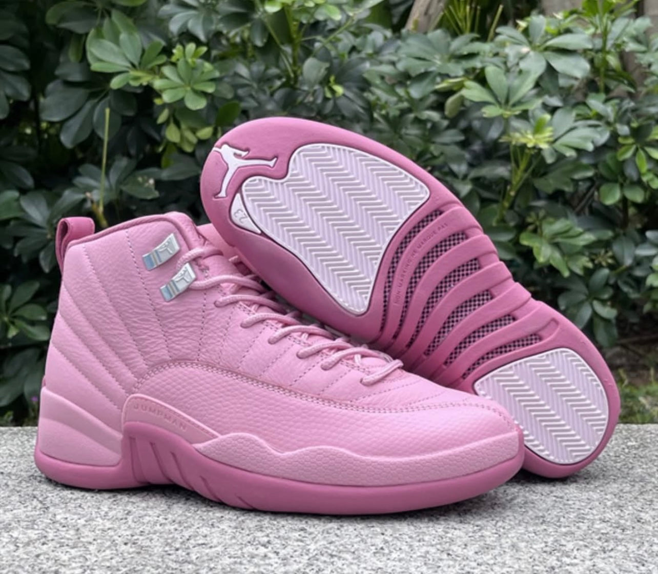 Air Jordan 12
