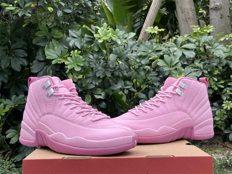 Air Jordan 12